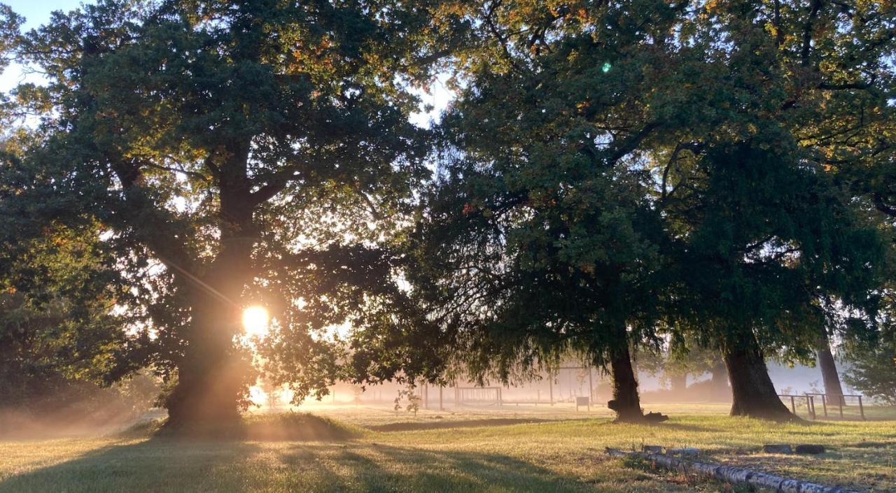 The Retreat New Forest, Hinton Крайстчърч Екстериор снимка